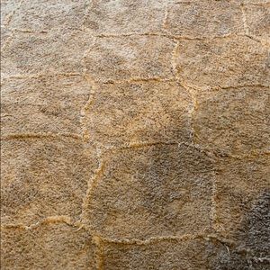 Meet your Posher, Corey